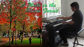 🍒 A Walk in the Black Forest 🍒 ( cover )  ,  piano keyboard music , organist way of playing .