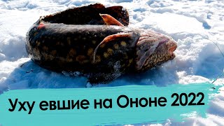Рыбалка в Забайкалье: улов есть!
