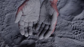 ashes of time ZiNiTang