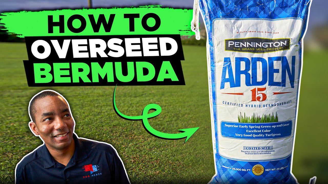 How to Overseed a Lawn - Overseeding Lawns in Spring - YouTube
