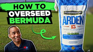 How to Overseed a Lawn  Overseeding Lawns in Spring