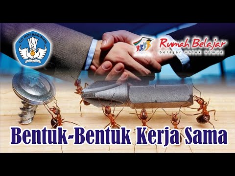 Video: Pinjaman komersial adalah Pinjaman usaha kecil. Pinjaman bank: jenis pinjaman