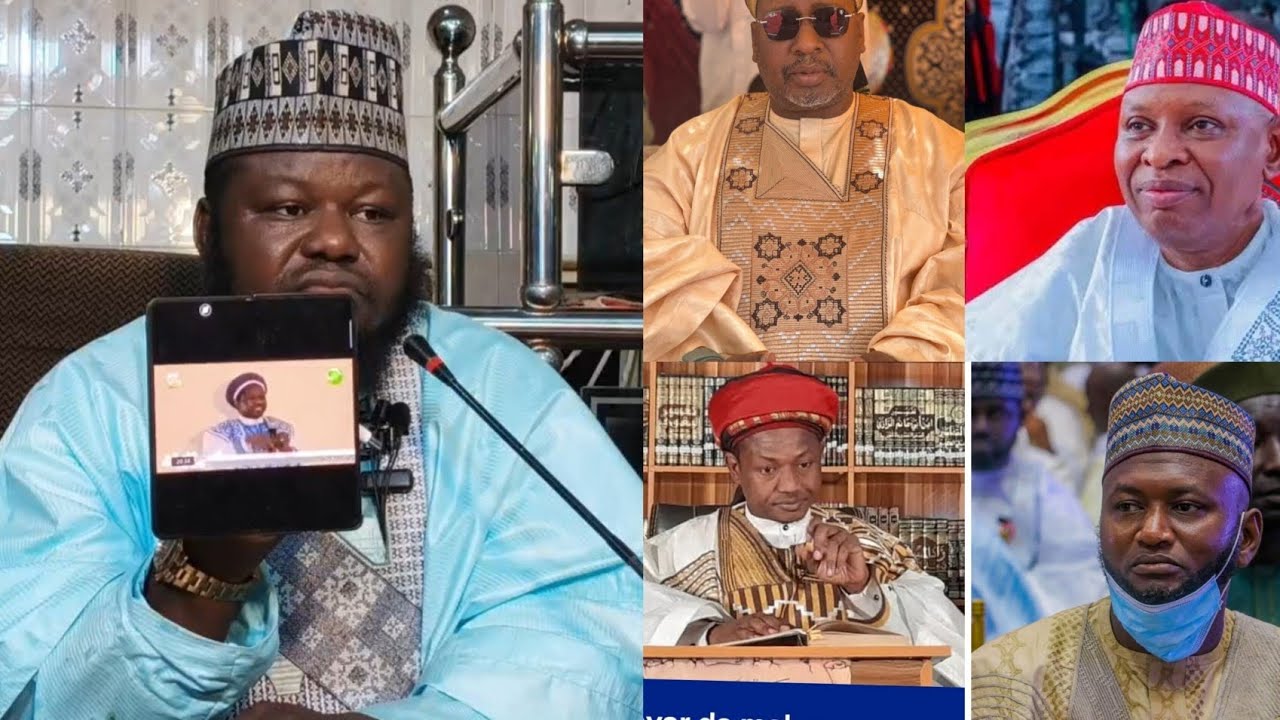 Soruvchi mushuk yaqindan Soruvchi mushuk yaqindan