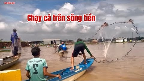 Bà con miền Tây ra sông tiền chài cá mè Vinh #Linhđồngquê￼