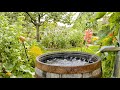 Drummond 1/2 hp Transfer Pump Review. #transferpump #drummond #waterpump