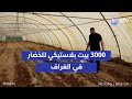 ثلاثة آلاف بيت بلاستيكي للخضار في الغراف زراعة ذي قار المغطاة تتغلب على شح المياه بالري الحديث 