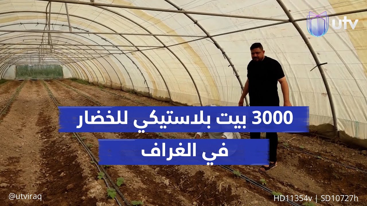 ثلاثة آلاف بيت بلاستيكي للخضار في الغراف.. زراعة ذي قار المغطاة تتغلب على شح المياه بالري الحديث