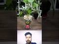 Smart trending technique just for you 👌 #shortvideos #trendingshorts #duet #viralvideo #technology