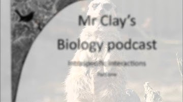 Intraspecific interactions - part one