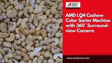 AMD LQ4 Cashew Color Sorter Machine