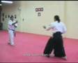 Aikido Yoshinkan Brisbane Dojo Mori Shihan 7th Dan - Weapon Demonstration 1