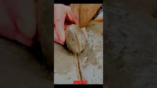 The Best Mineral Find