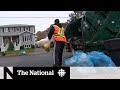 N.S. company turning trash into fuel