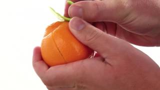 Obieracz do cytrusów TOMORROW'S KITCHEN Citrus peeler