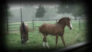 Download Lagu This T I M E is O U R S MP3