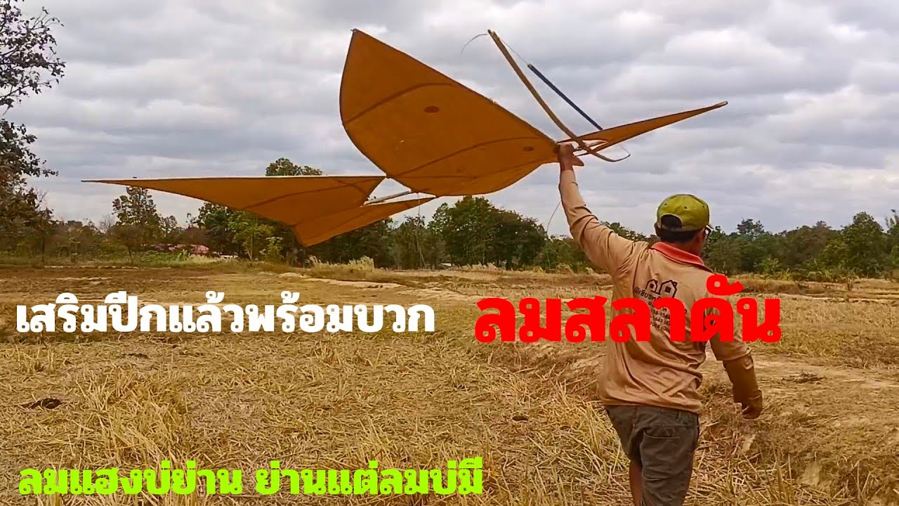 ep,342 สู้ลมไม่ไหวแก้ปัญหาแบบนี้ซะเลยว่าวจุฬาซิ่ง!!🇹🇭🇹🇭