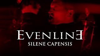 Evenline - Silene Capensis