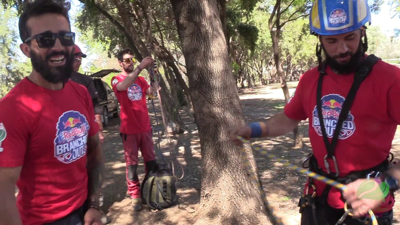 Red Bull 'Branched Out' Event 2019 - Full Overview