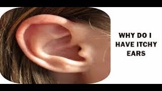 You Wont Be Able to Have Your Itching Ears Scratched on this Channel #456