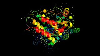 Protein Databases and Resources