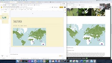 Gathering distribution maps (example using Sagittaria)