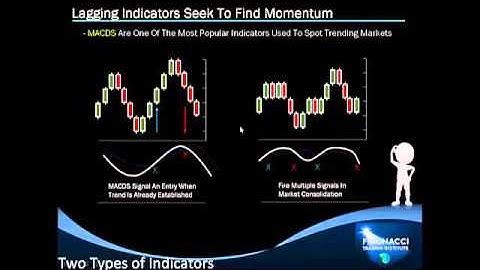 Fibonacci Trading Institute – Alla Peters: Webinar About Fibonacci Method AAPL, AMZN, MU, EURUSD