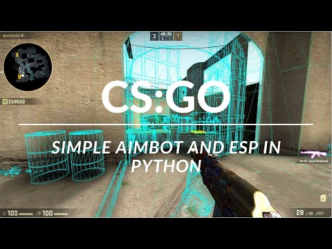 Episode 2: Simple CS:GO Aimbot and ESP using Python