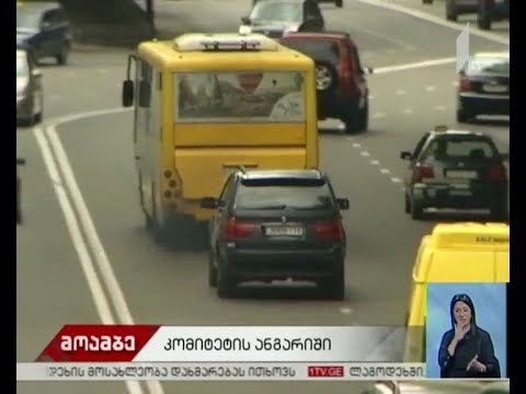 პარლამენტში თბილისში ჰაერის დაბინძურების წყაროებზე იმსჯელებენ