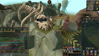 Runescape Codex run take 1