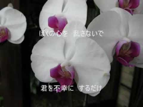 「君が美しすぎて」野口五郎cover