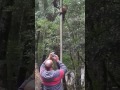 Macaco leva choque