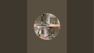 Evening yoga 🧘‍♀️ 34 days weight loss training for beginners Advance Yoga class