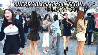 [4K 서울 여의도 벚꽃 축제에 100만 인파] 벚꽃이 만개한 여의도 공원을 함께 걸어주세요^^#CHERRY BLOSSOM#SEOUL#KOREA