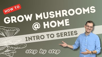 New to Growing Mushrooms at Home? 🍄 Start Here!