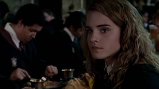 fred weasley hermione granger