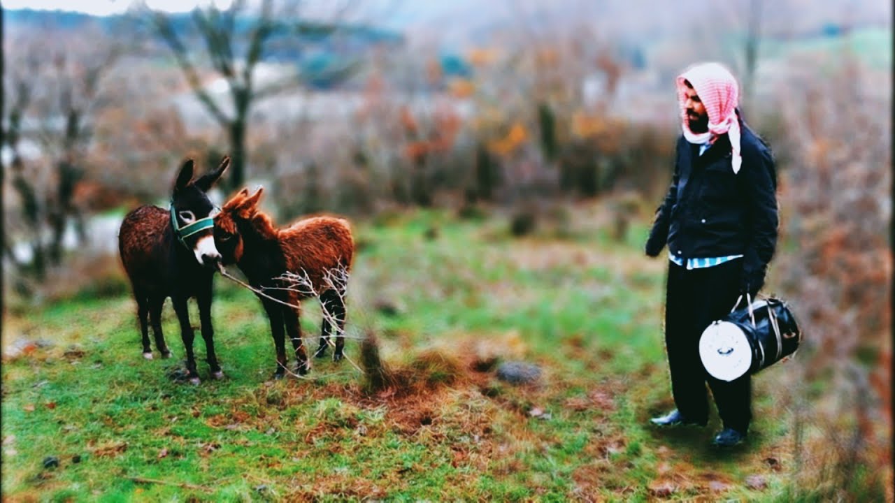 الغربة لاتعني ان تنسى ماضيك او ( اصلك )