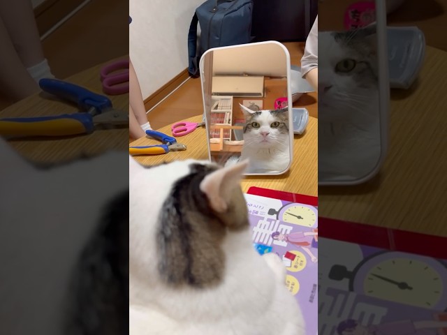 俺？これ俺？