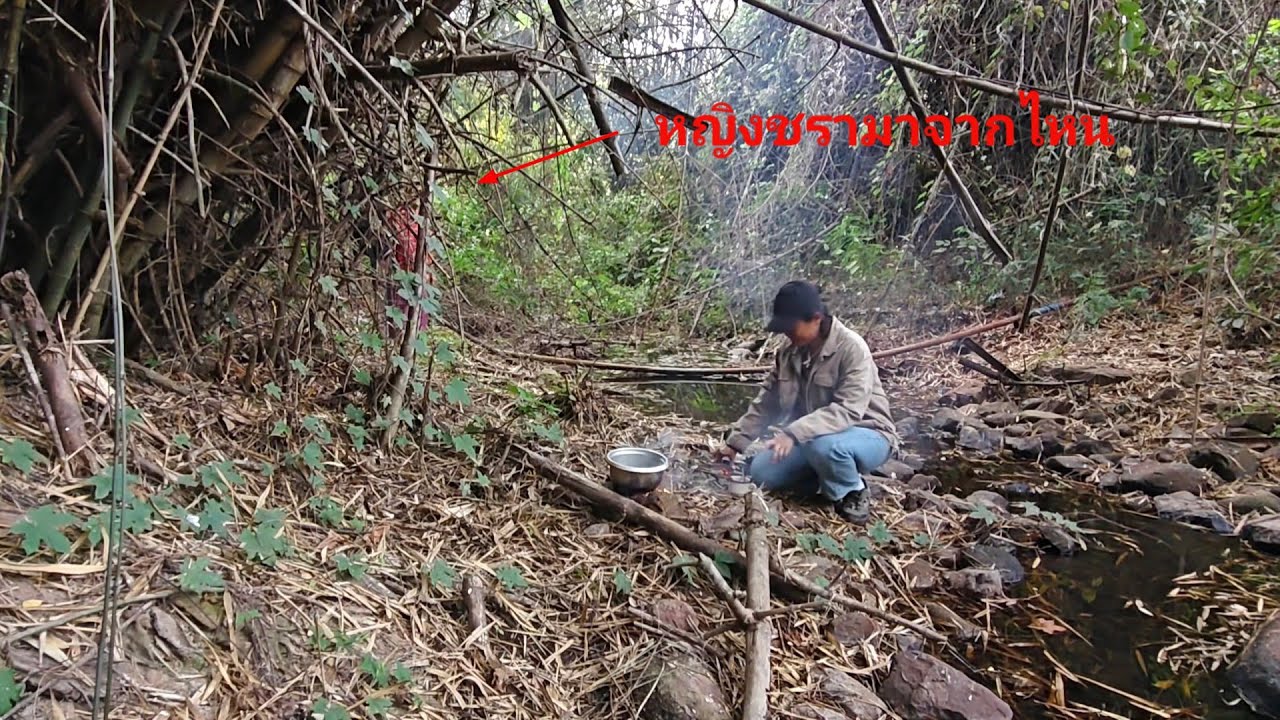 ตั้งแคมป์กลางป่าลึก