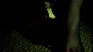 Lina's Shoeplay 6