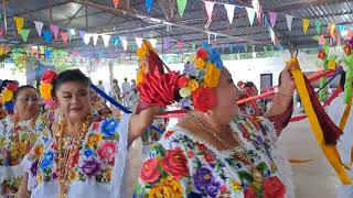 Baile de la Cabeza de Cochino en Calkiní Campeche, ameniza la Orquesta Nueva Generación.