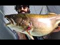 Fishing Lake Trout Disneyland