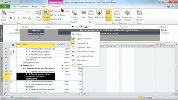Microsoft Project Professional 2010 Tutorial: Project Views | K Alliance