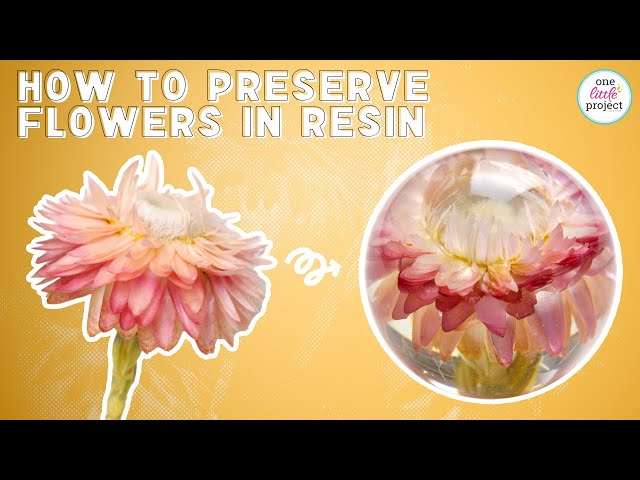 How to Preserve Flowers in Resin