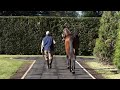 ENCYTUS (King Guillermo y Eastbourne, por Easing Along)