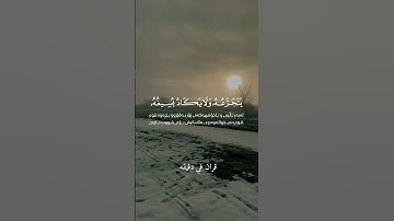 قران كريم ارح قلبك وسمعك #قران_في_دقيقة #quran #سلمان_العتيبي #قرآن @قران_في_دقيقة