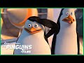 Pinguins no Quartel-General?! 🐧❄️ | DreamWorks Madagascar em Português