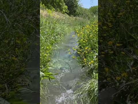  بهشت آرامش رود روستا طبیعت حس خوب