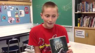 Book talk - The One and Only Ivan by Katherine Applegate