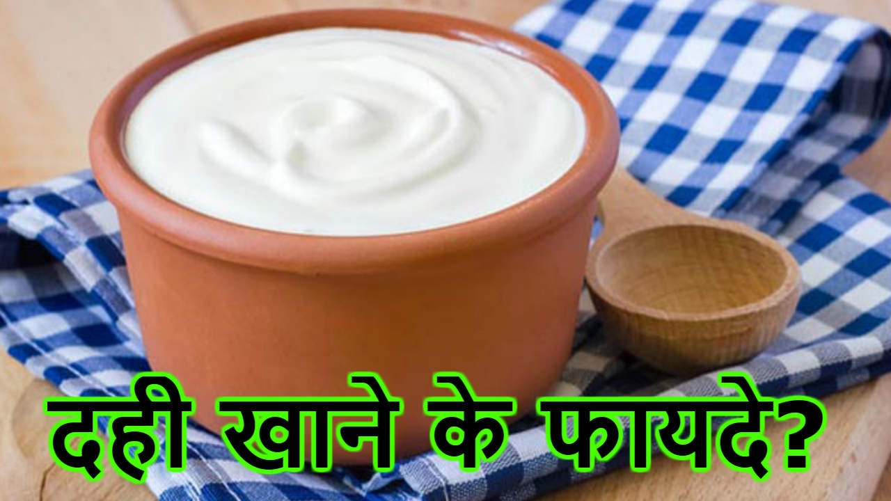 दही खाने के फायदे Dahi Ke Fayde Health Benefits Of Curd (Yogurt