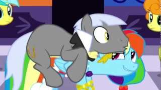 rainbowdash.mp4